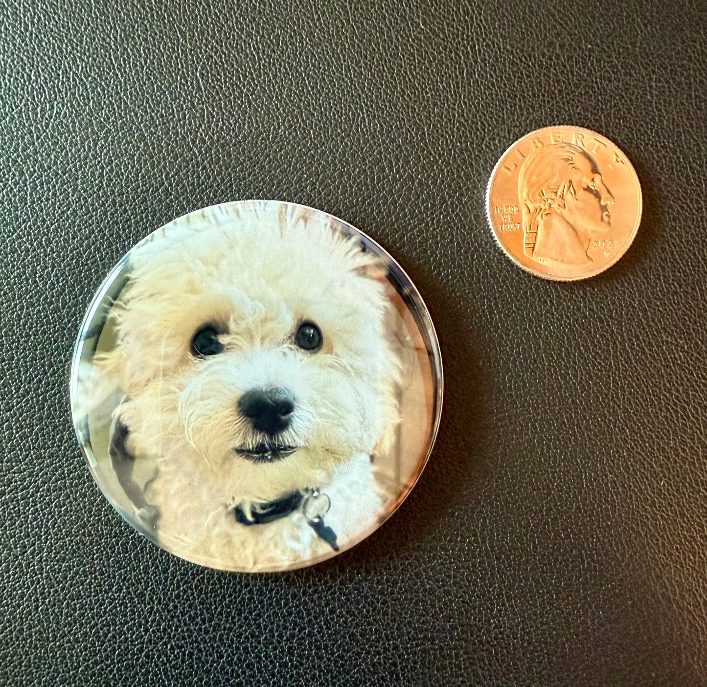Round Button Magnet Set